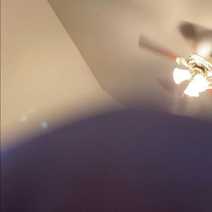 Meet your Posher, Otis